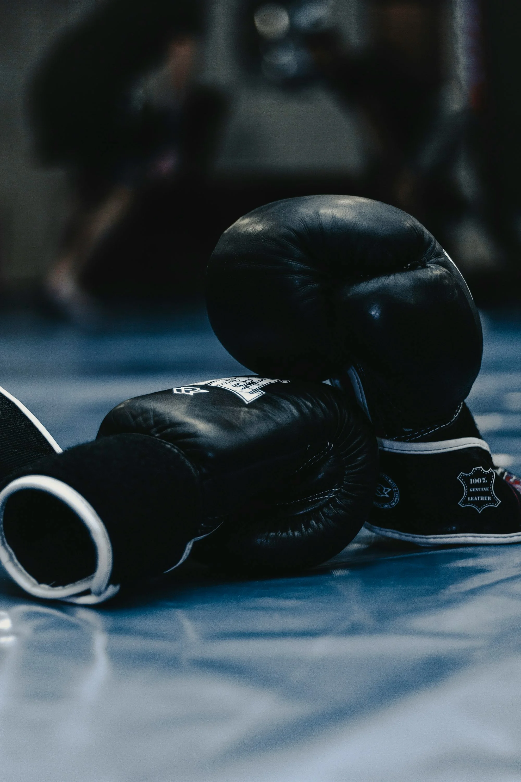 Phoenix Boxing Gym Nürnberg – Boxtraining und Kampfsport