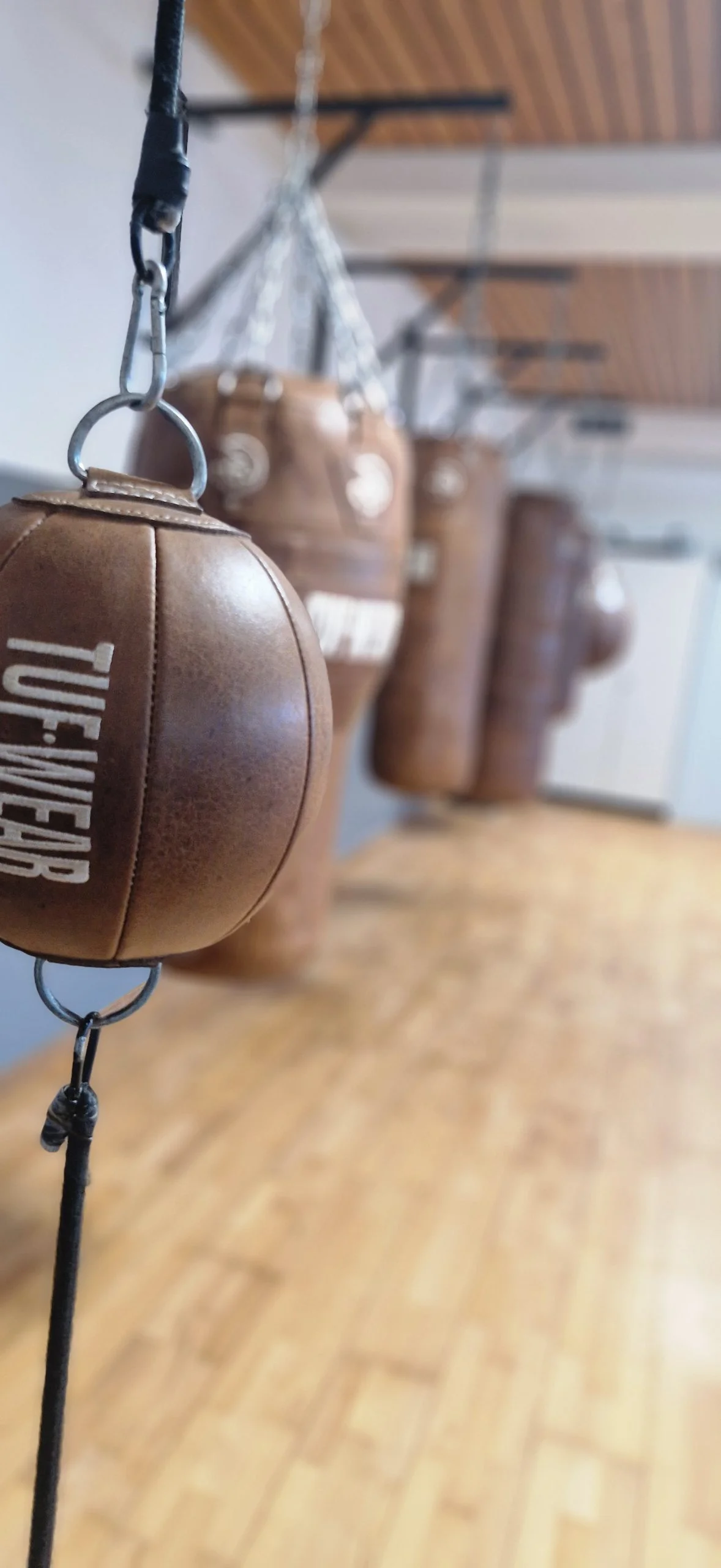 Phoenix Boxing Training im Gym in Nürnberg – Boxtraining und Fitness