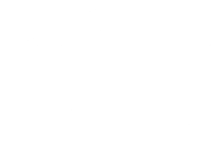 Phoenix Boxing Logo